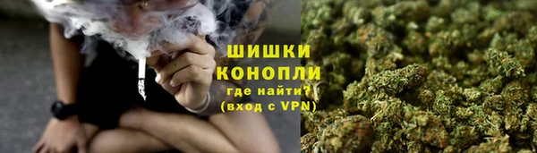 твердый Горнозаводск