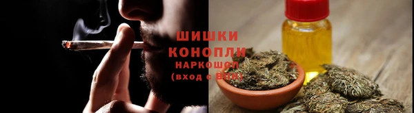 ПСИЛОЦИБИНОВЫЕ ГРИБЫ Горняк
