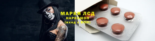 ПСИЛОЦИБИНОВЫЕ ГРИБЫ Горняк