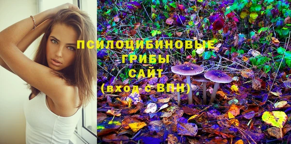 твердый Горнозаводск