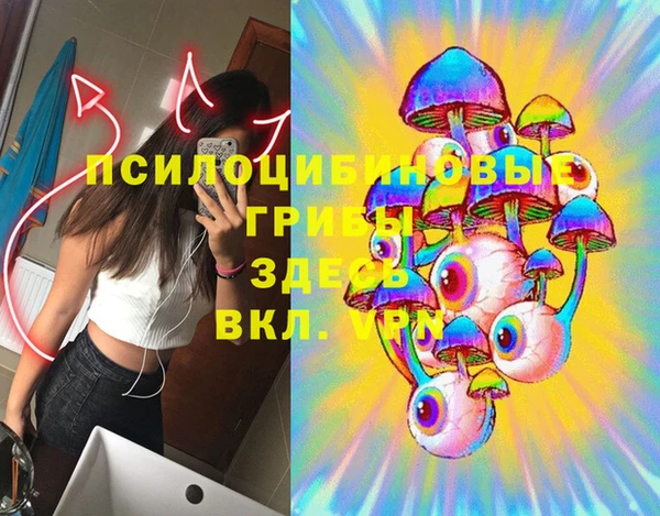 твердый Горнозаводск
