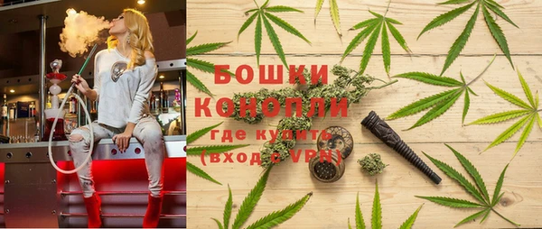 ПСИЛОЦИБИНОВЫЕ ГРИБЫ Горняк