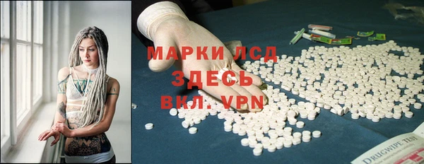 ПСИЛОЦИБИНОВЫЕ ГРИБЫ Горняк