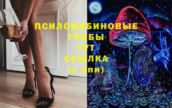 соль ск Гусь-Хрустальный