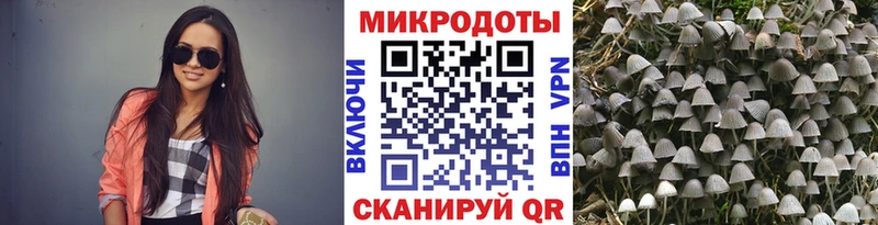 купить   ОМГ ОМГ сайт  Галлюциногенные грибы Psilocybe  Чернушка 